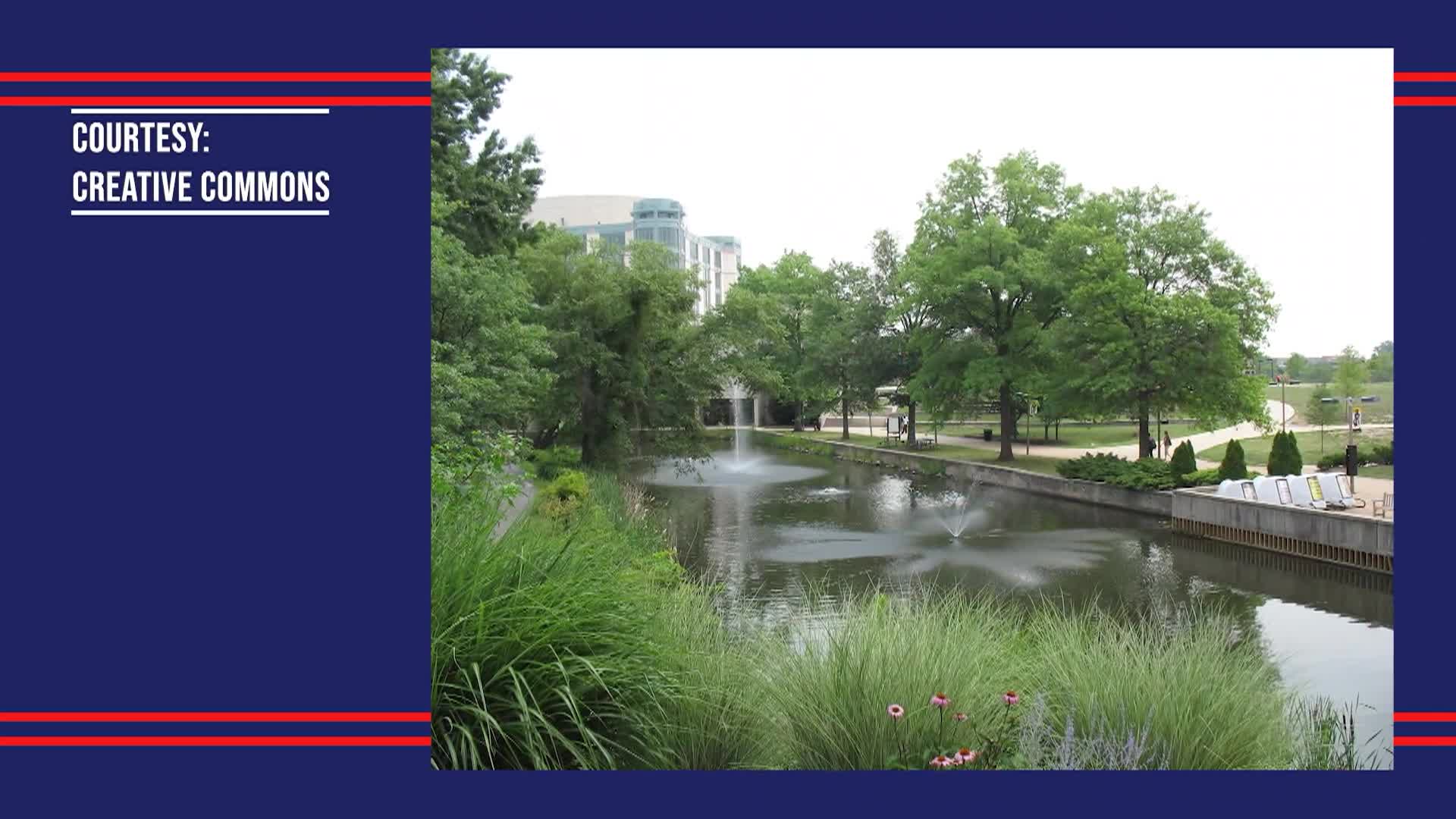 White House Chronicle - 02/06